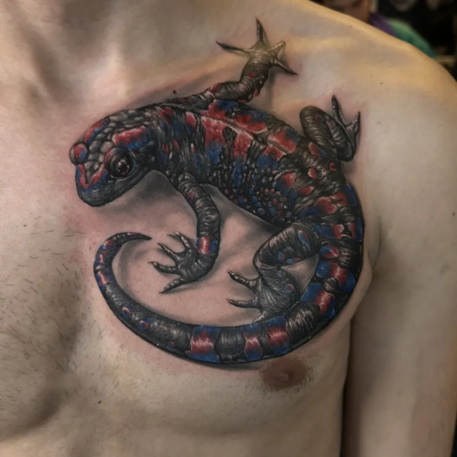 Salamandra uz krūtīm, krāsains