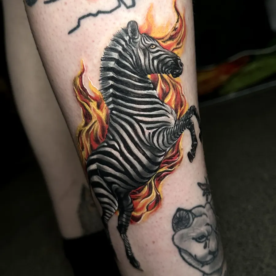 Zebra liesmās uz apakšstilba, krāsains